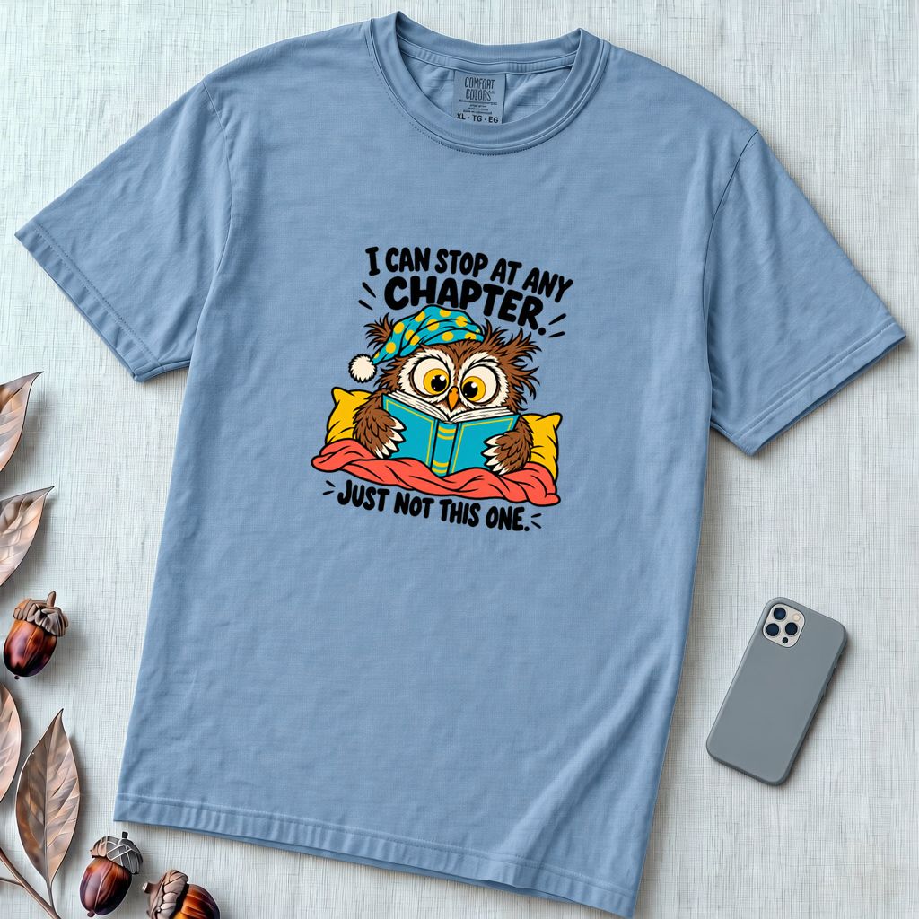 I Can Stop At Any Chapter Owl T-Shirt - Washed Denim unfolded t-shirt mockup