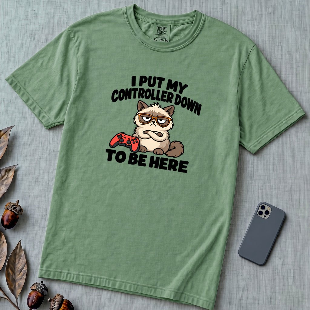 I Put My Controller Down To Be Here Cat T-Shirt, Grumpy Cat Tee for Gamer - Light Green unfolded t-shirt mockup