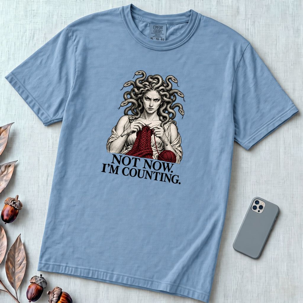 Not Now I’m Counting Medusa Knitting T-Shirt - Washed Denim unfolded t-shirt mockup