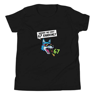 Funny 67 Youth T-Shirt, Meme Shirt for kids