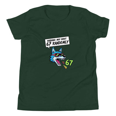 Funny 67 Youth T-Shirt, Meme Shirt for kids