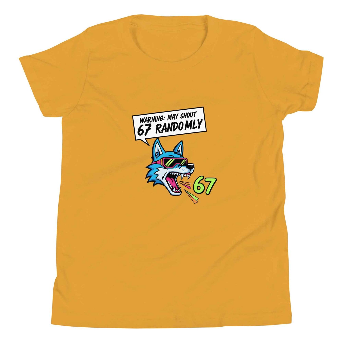 Funny 67 Youth T-Shirt, Meme Shirt for kids