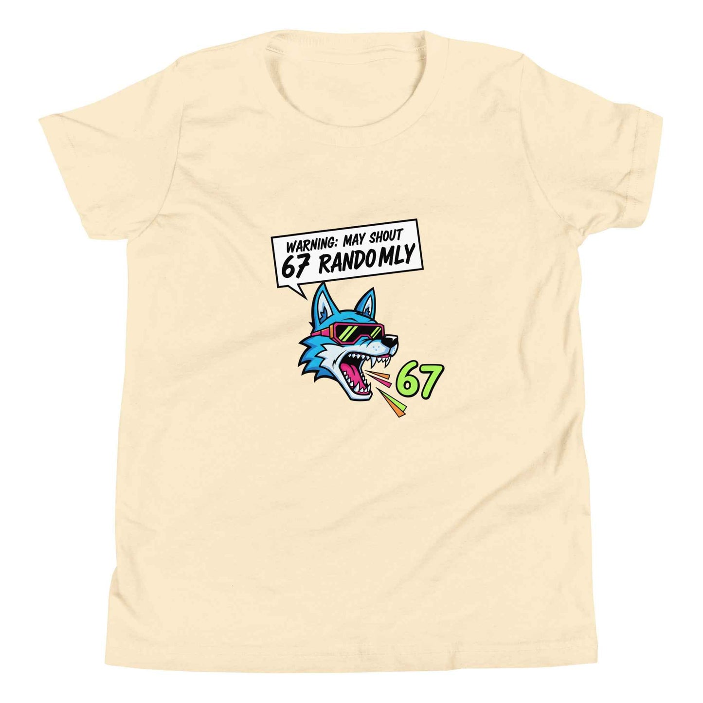 Funny 67 Youth T-Shirt, Meme Shirt for kids